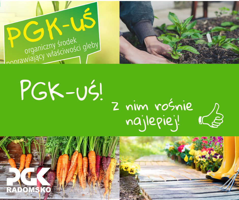 Z PGK-usiem urośnie najlepiej!