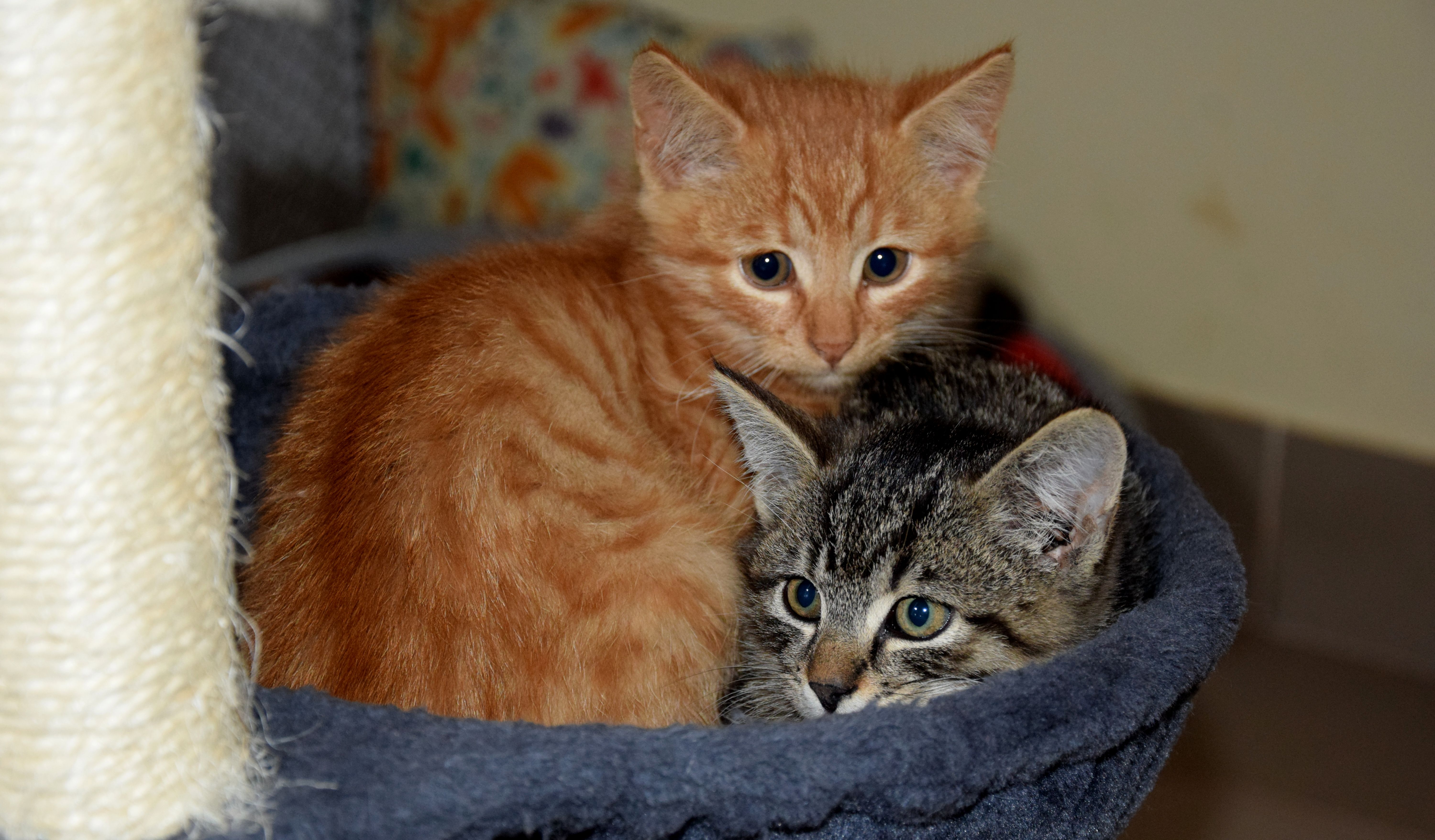 BO:,,Pomóż zatrzymać bezdomność” - zaproszenie do współpracy