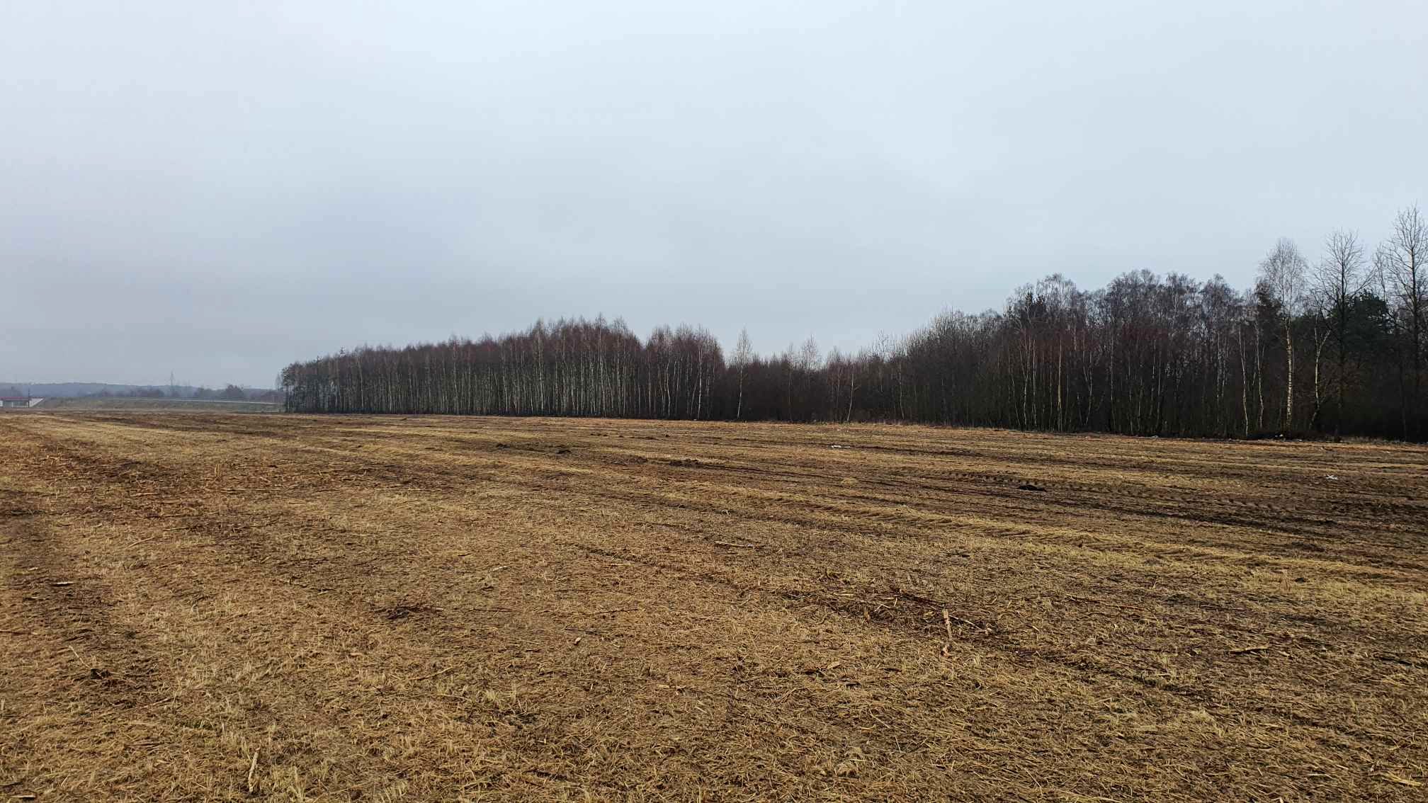 Nowa strefa inwestycyjna. Kolejny impuls dla rozwoju miasta