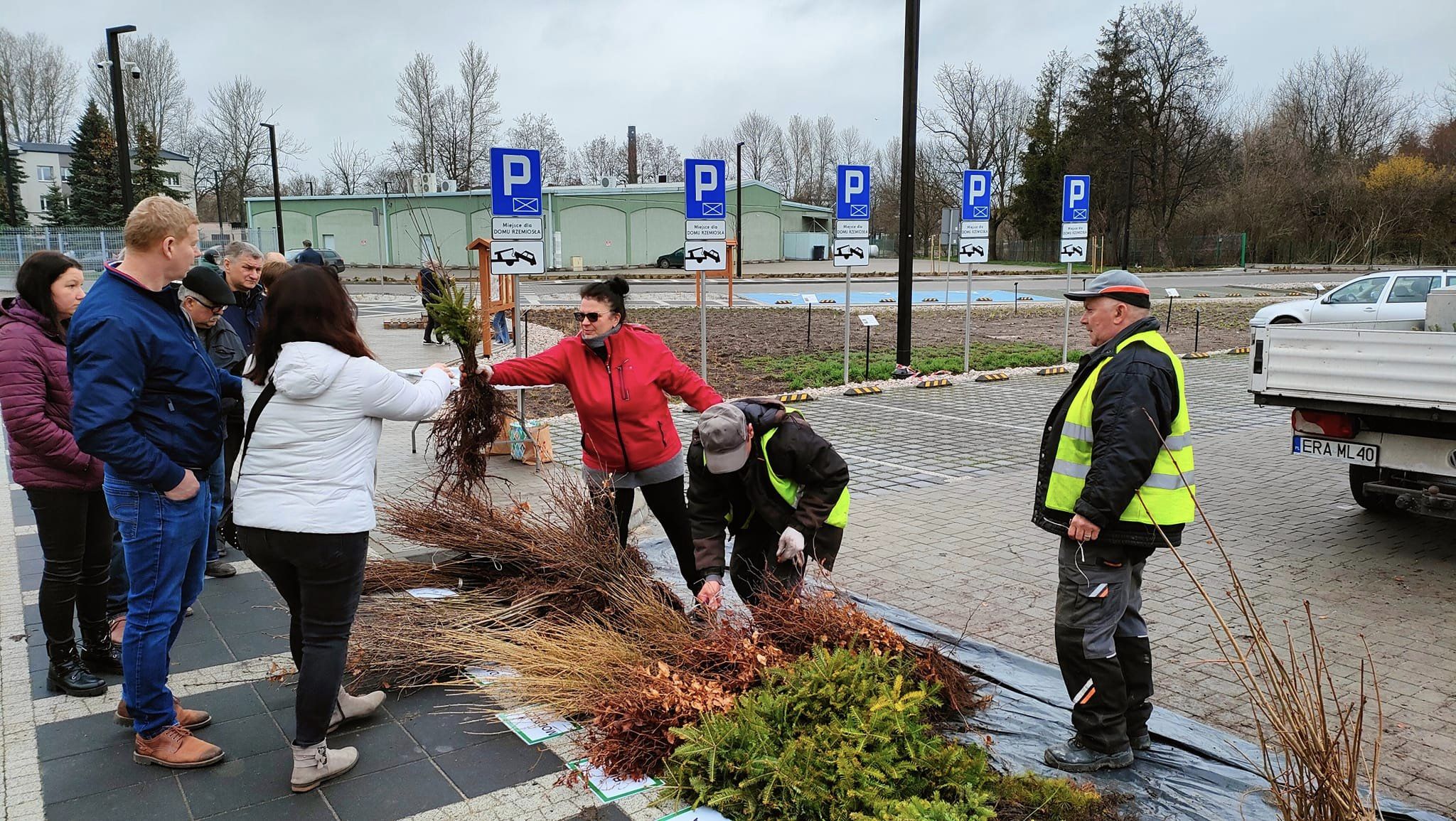 Akcja "Zielone Radomsko" zakończona sukcesem. Rozdano prawie 9,5 tys. sadzonek drzew