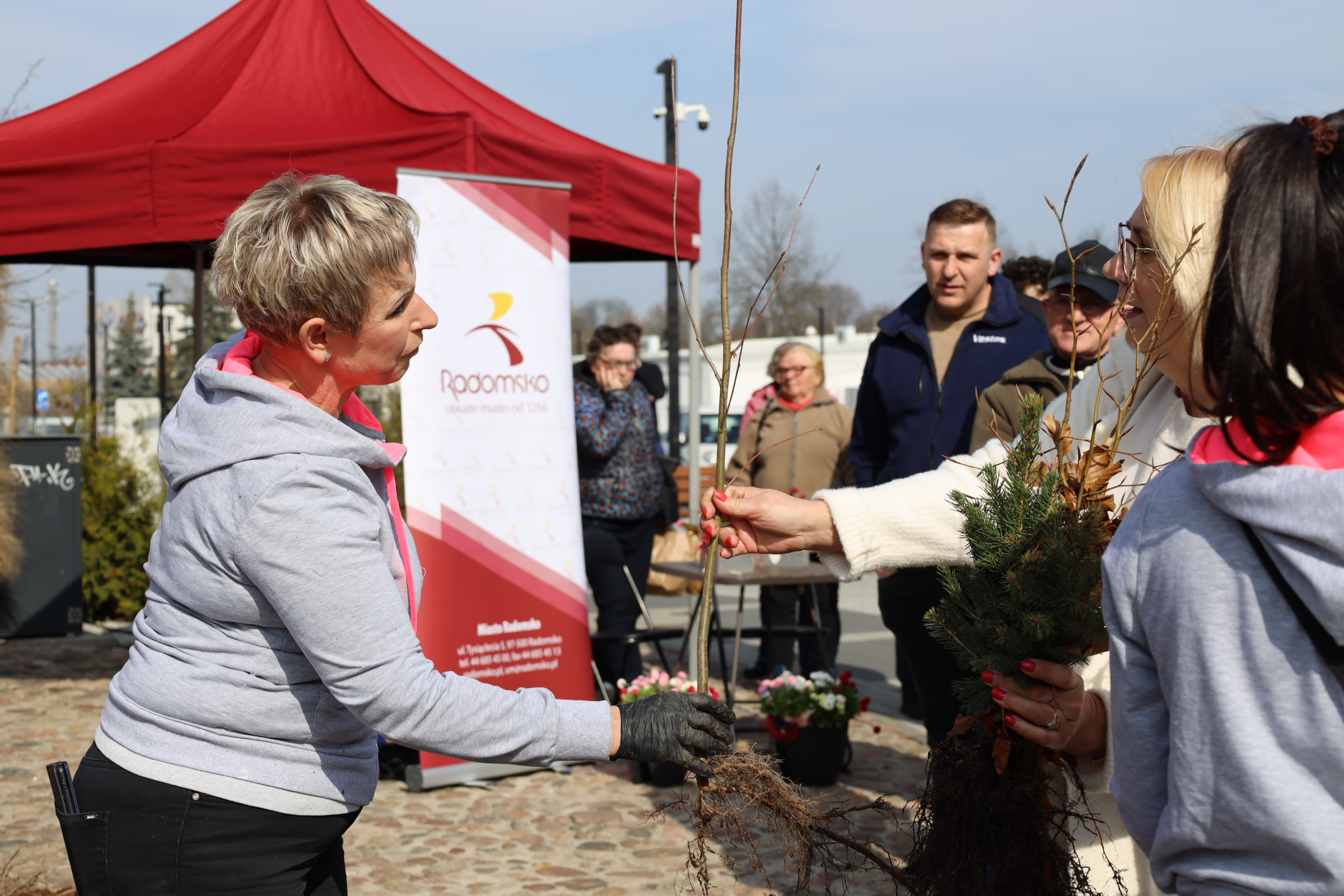 Zielone Radomsko. Tysiące sadzonek rozdane mieszkańcom