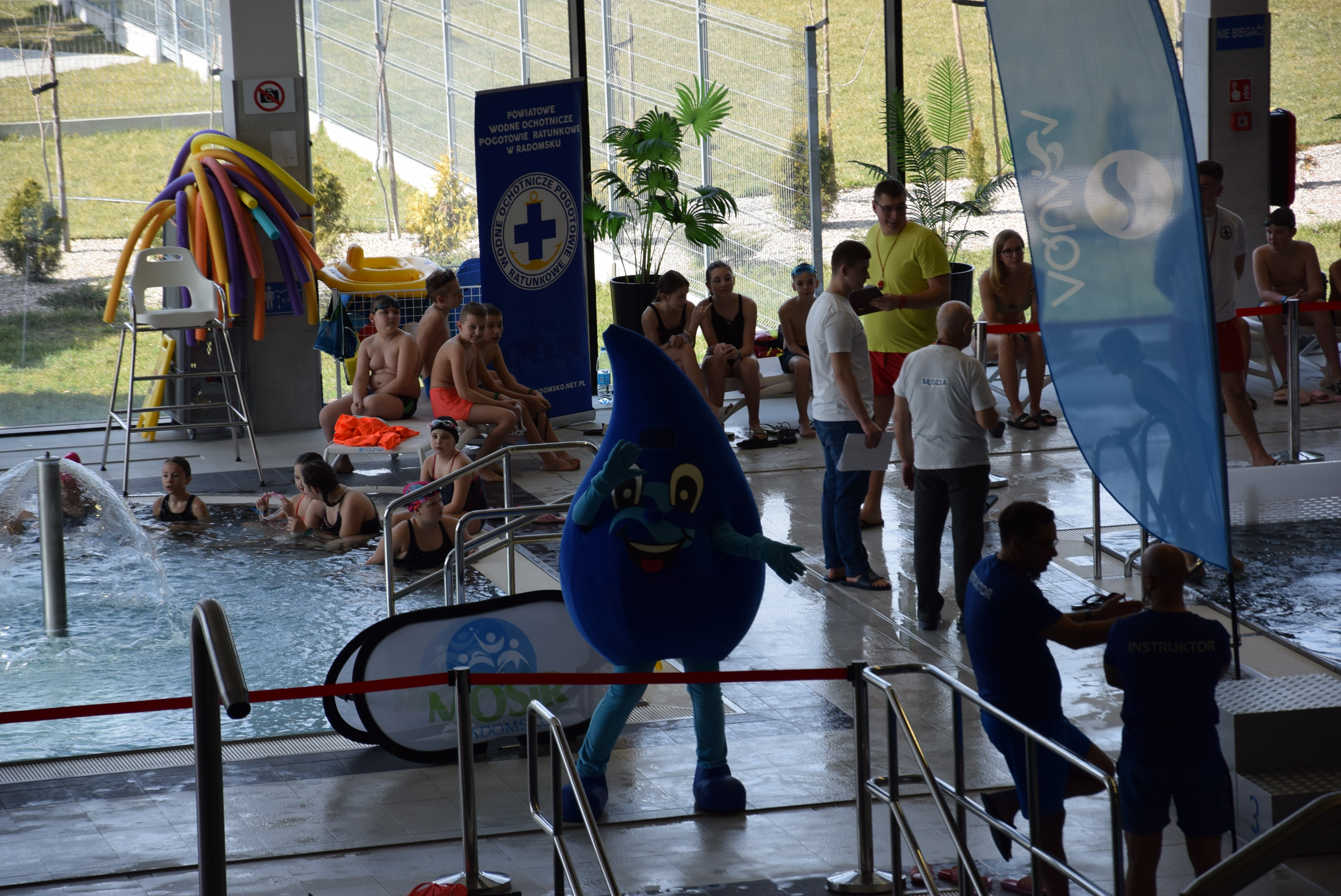 Mistrzostwa w pływaniu