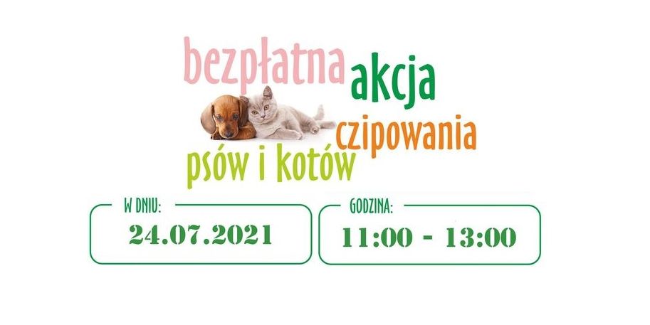 Zaczipuj pupila