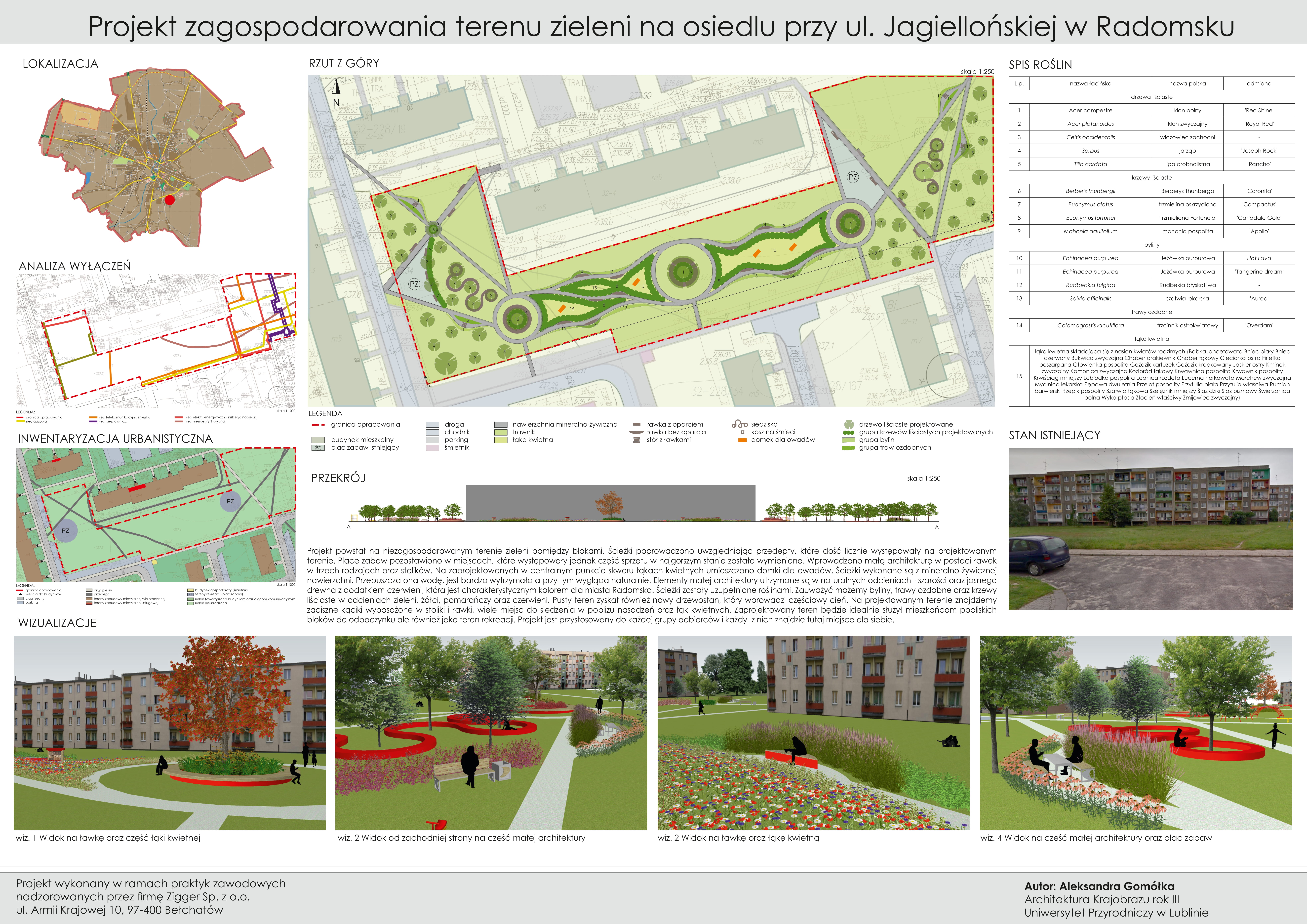 Gomółka Aleksandra ul. Jagiellońska