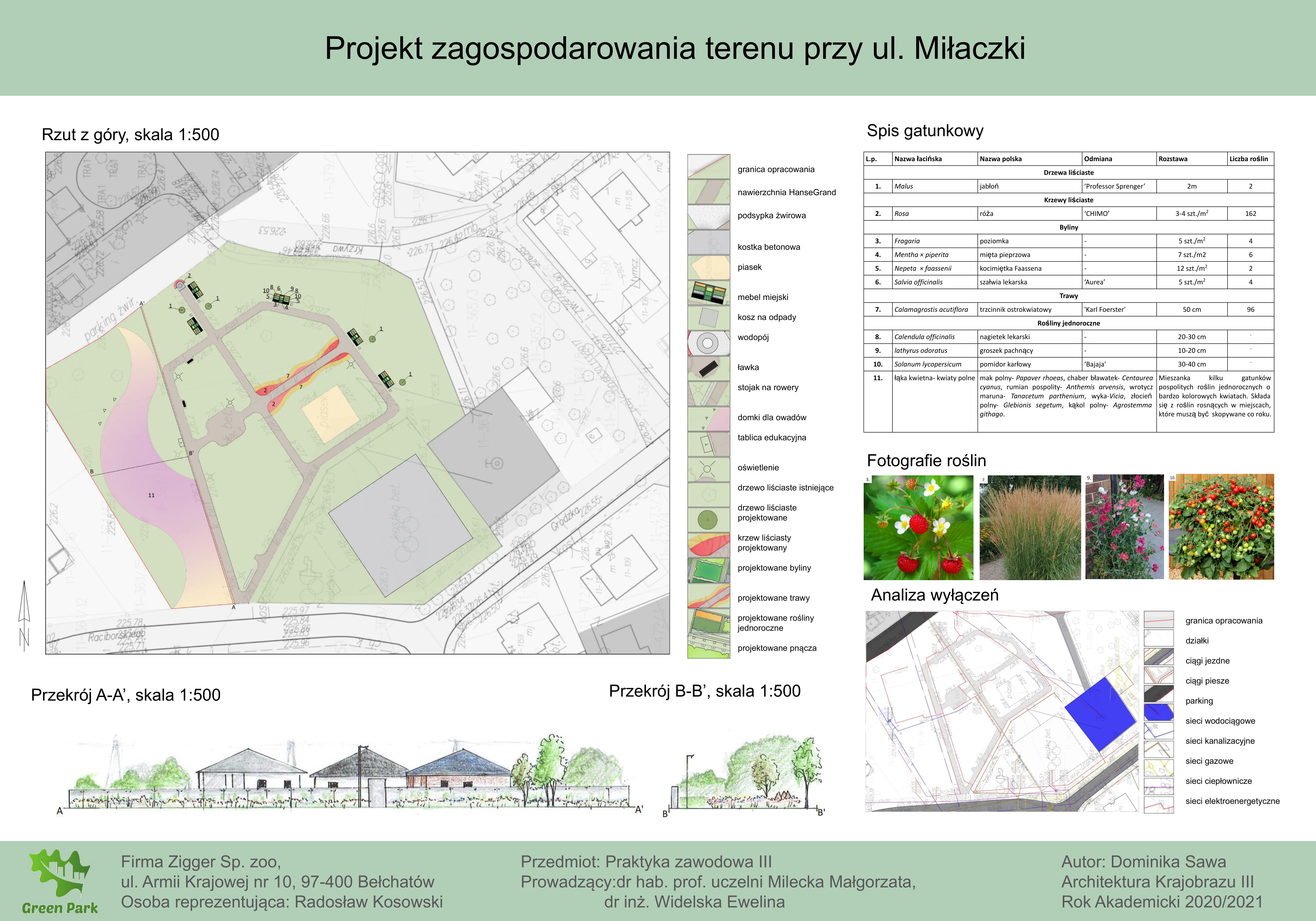 Sawa Dominika ul. Miłaczki