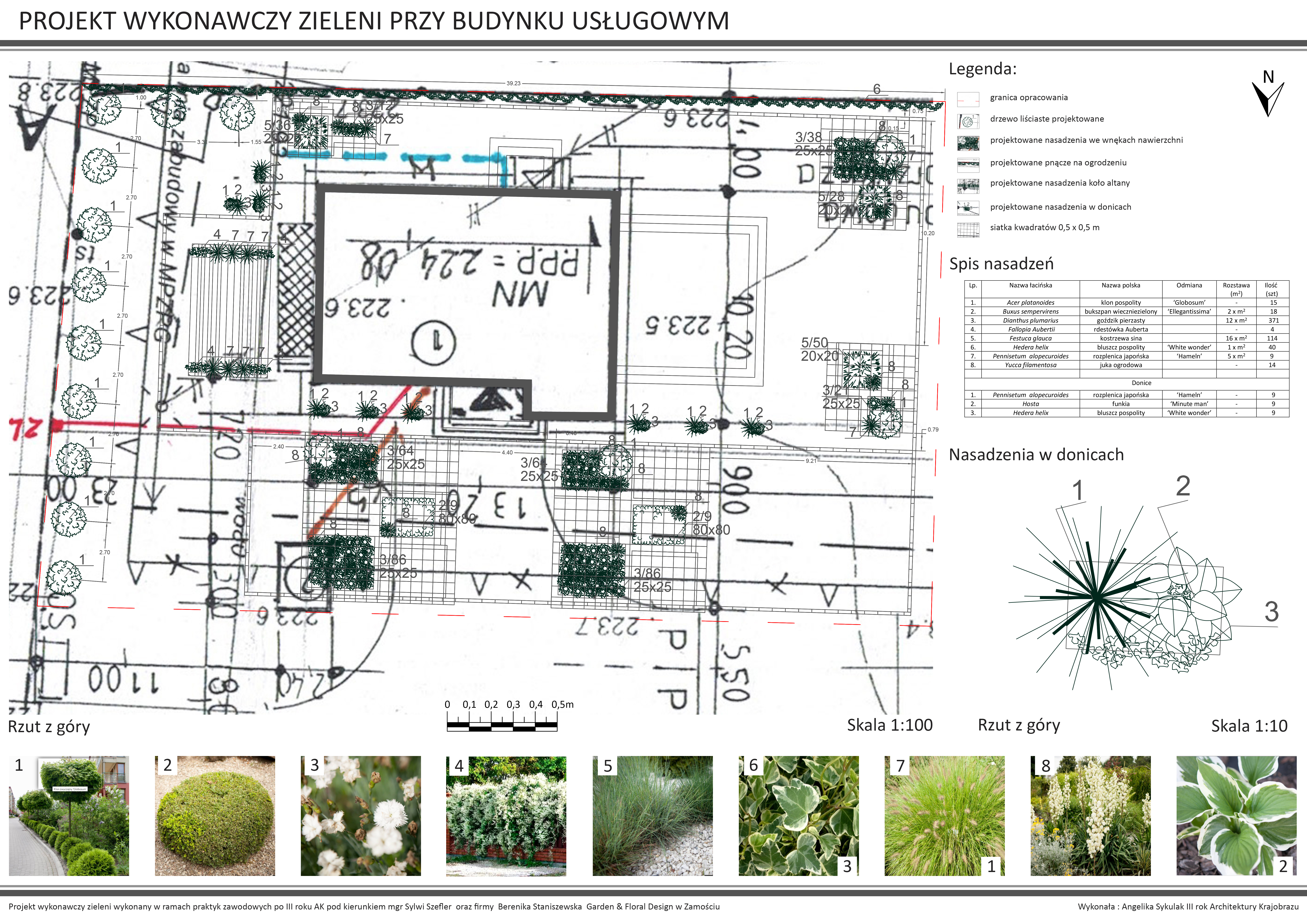 Sykulak Angelika projekt zieleni przy budynku
