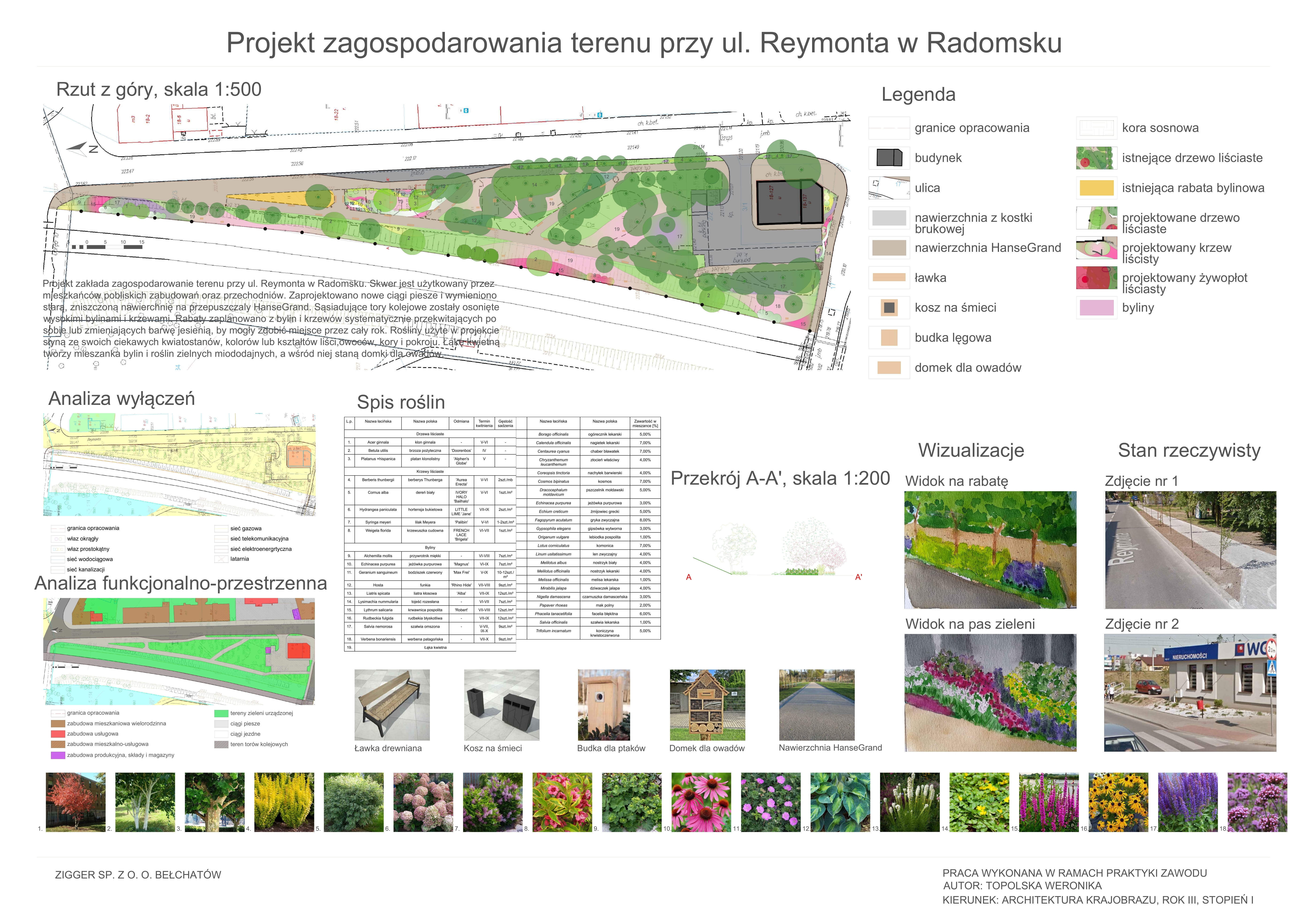Topolska Weronika ul. Reymonta